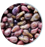 Green Tea and Grape Seed Extract Antioxidant Blend